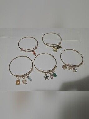 Set Of 5 Charm Bangles